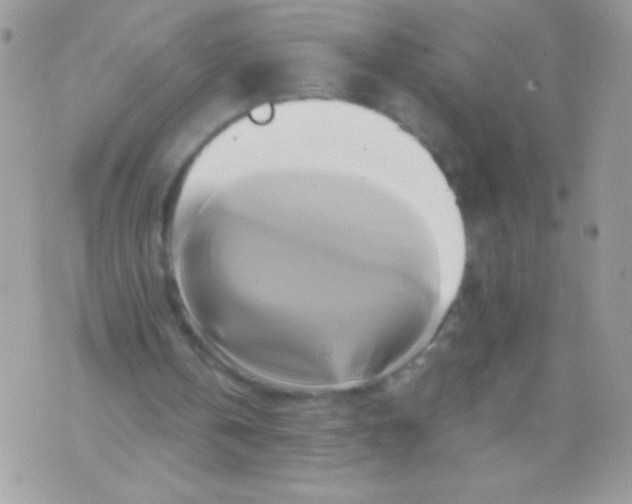 X0000071380146200607212221