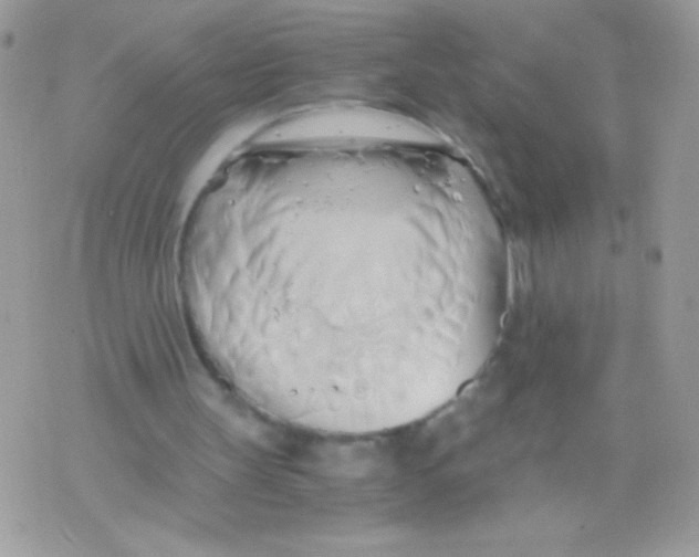 X0000071380147200607212221