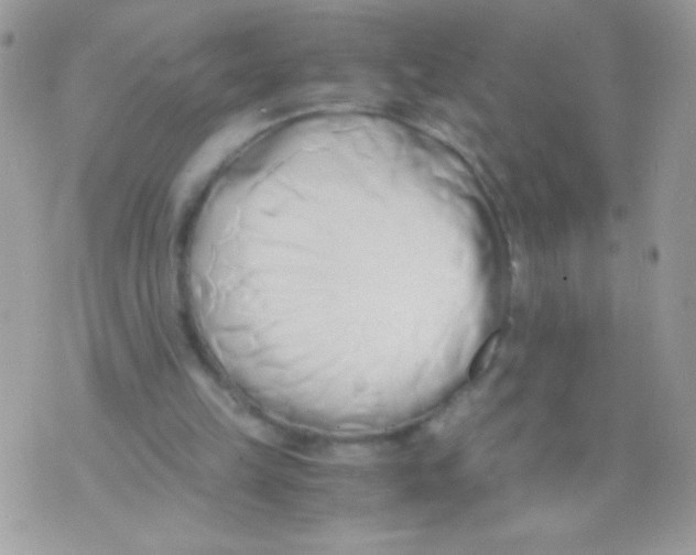 X0000071380149200607212221