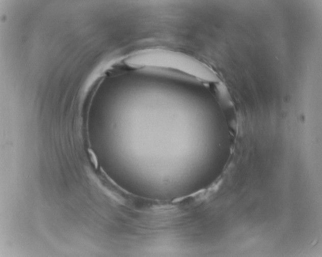 X0000071380150200607212221