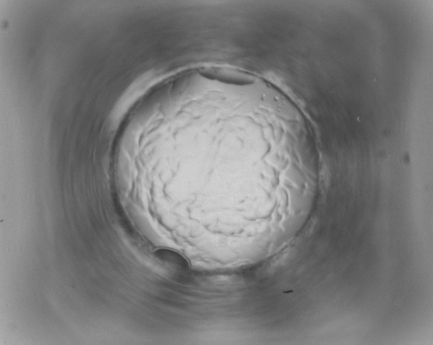 X0000071380151200607212221