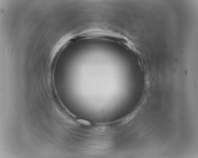 X0000071380152200607212221