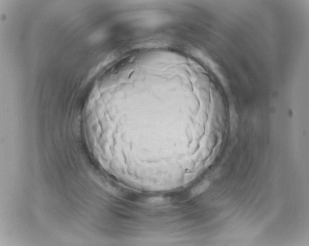 X0000071380153200607212221