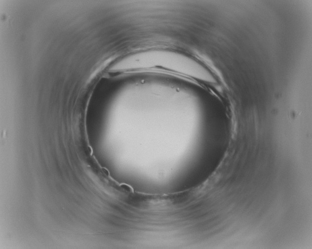 X0000071380154200607212221