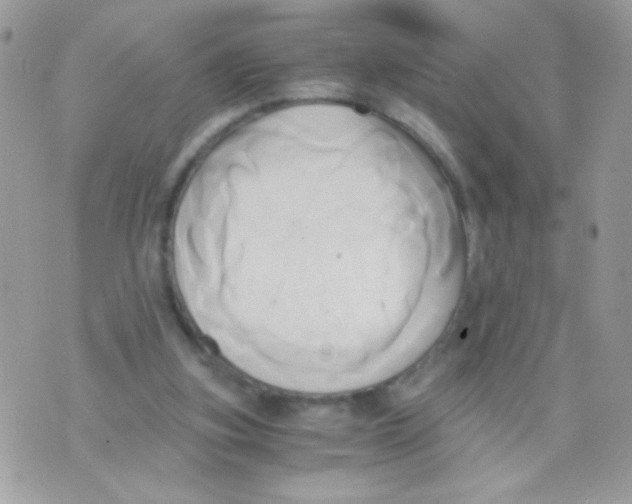 X0000071380155200607212221