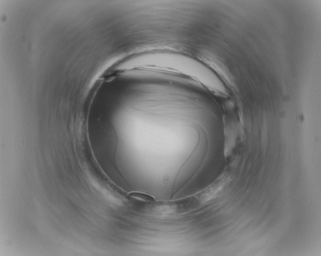 X0000071380156200607212221