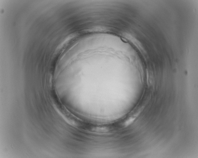 X0000071380157200607212221