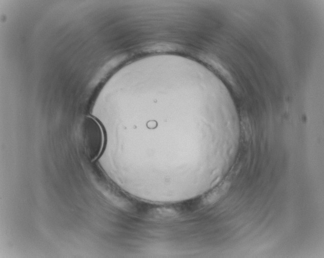 X0000071380159200607212221