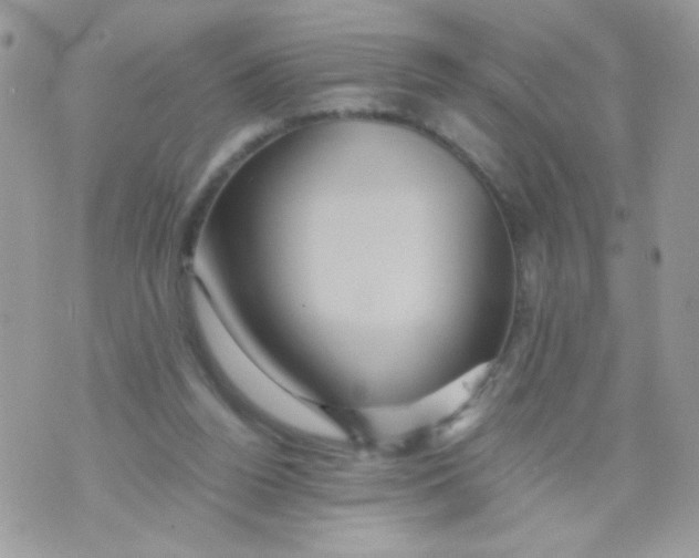 X0000071380160200607212221