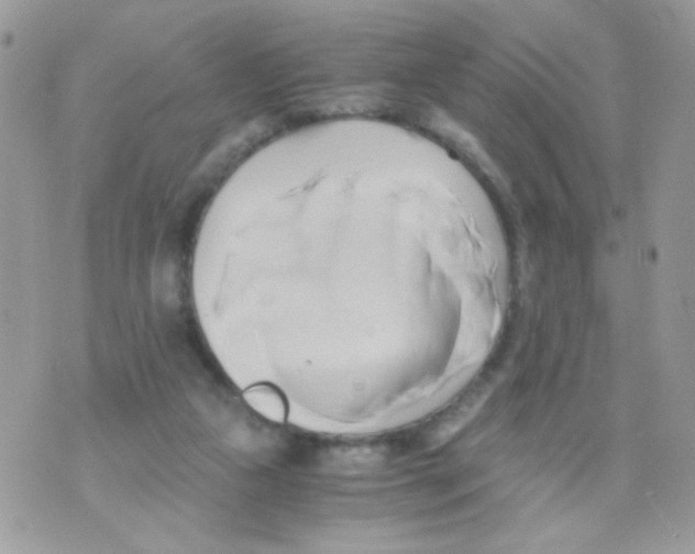 X0000071380161200607212221