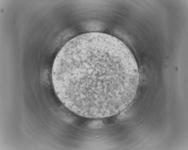 X0000071380162200607212221