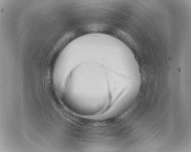 X0000071380163200607212221