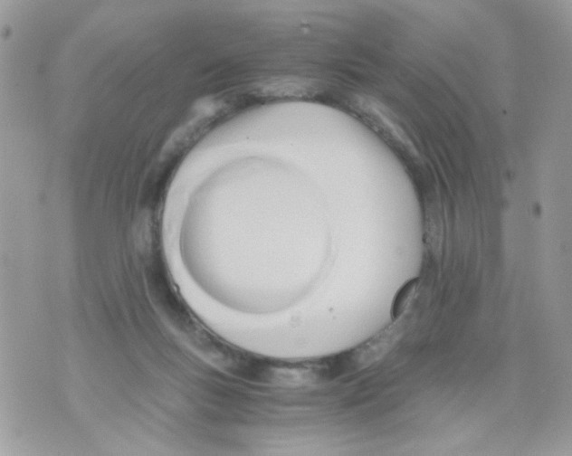 X0000071380167200607212221