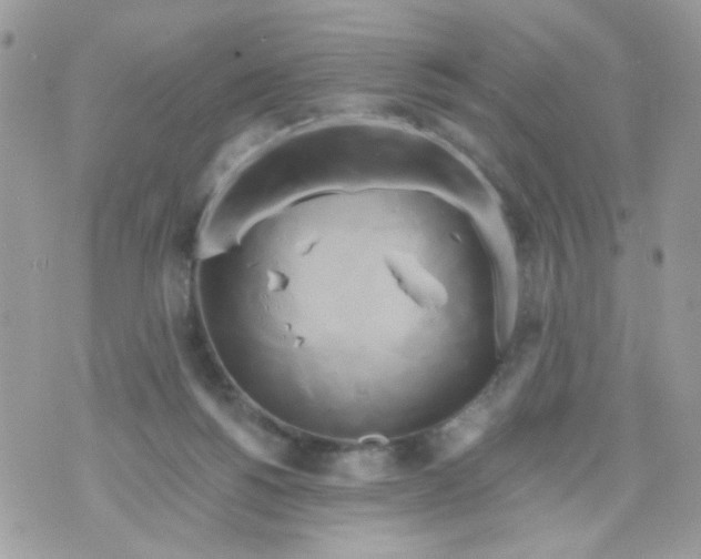 X0000071380168200607212221