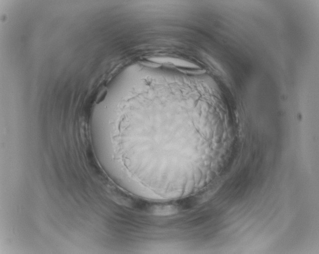 X0000071380169200607212221