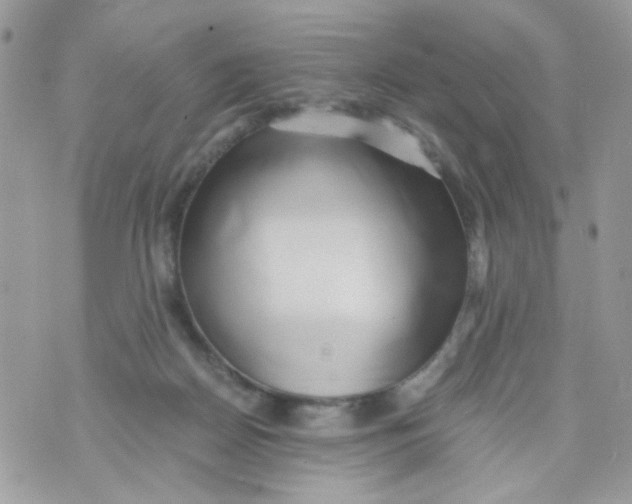 X0000071380170200607212221