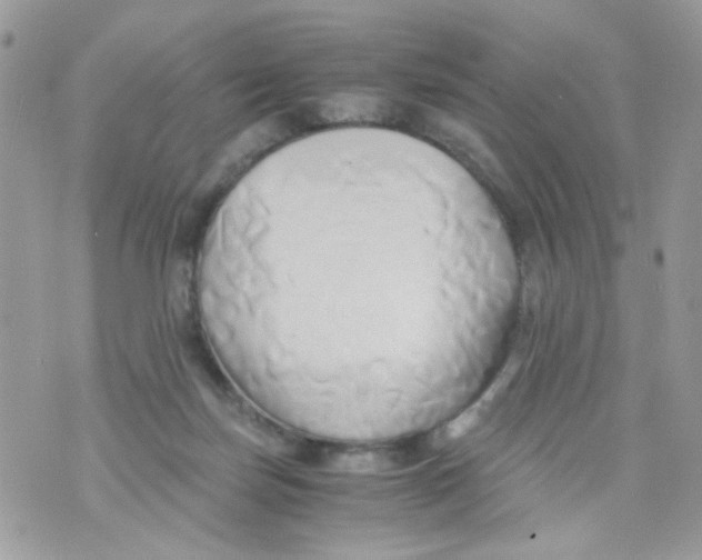 X0000071380171200607212221