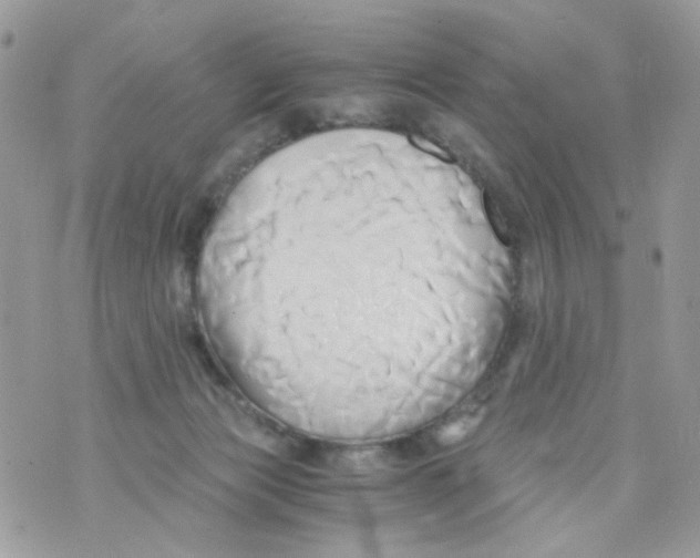 X0000071380173200607212221