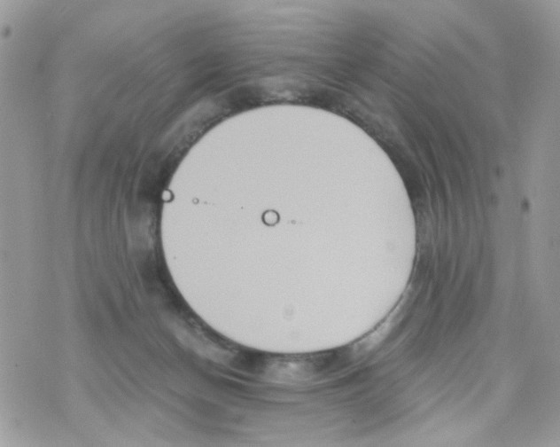 X0000071380174200607212221