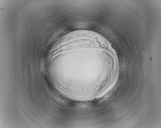 X0000071380175200607212221