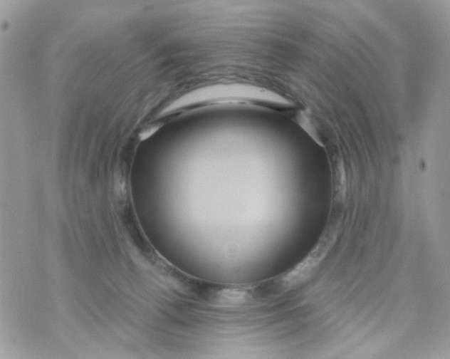 X0000071380176200607212221