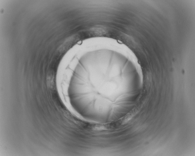 X0000071380177200607212221