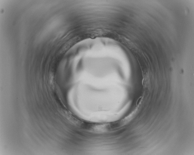 X0000071380178200607212221