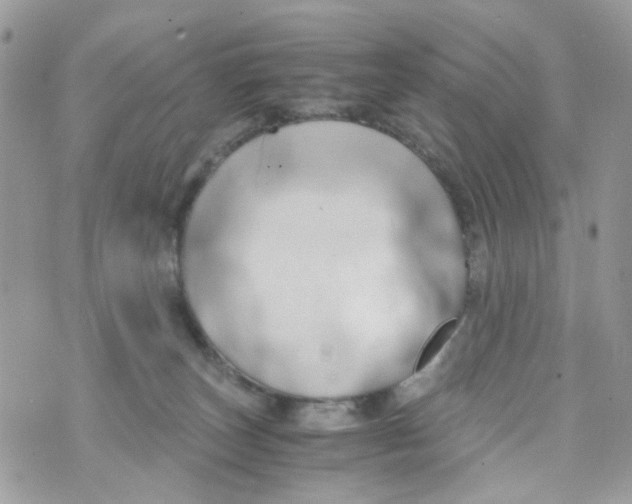 X0000071380179200607212221