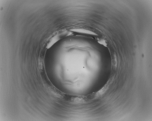 X0000071380180200607212221