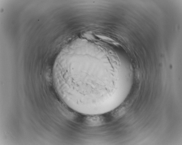 X0000071380181200607212221