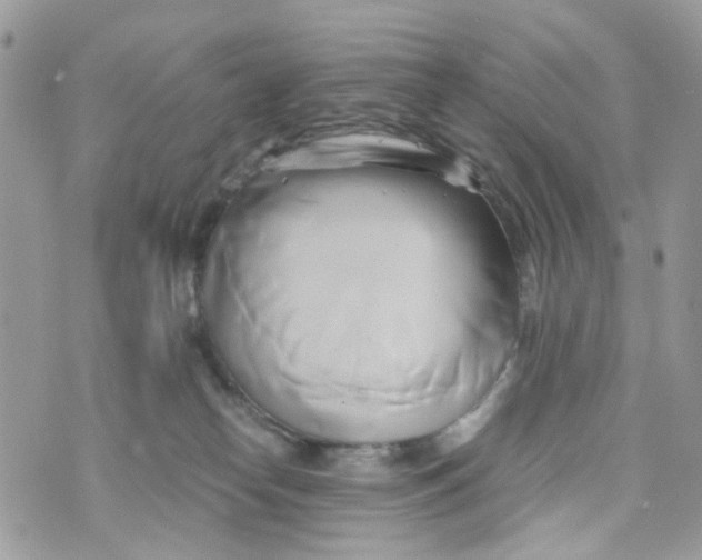 X0000071380182200607212221