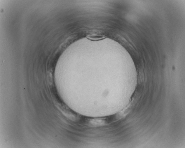 X0000071380183200607212221