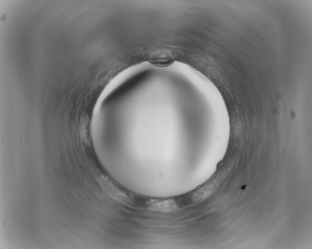 X0000071380185200607212222