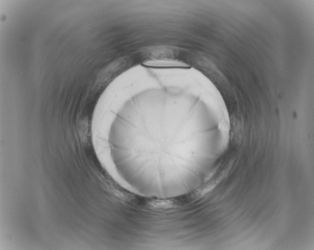 X0000071380189200607212222