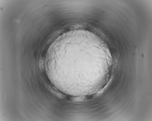 X0000071380191200607212222