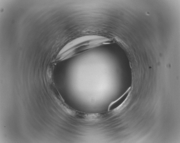 X0000071380192200607212222