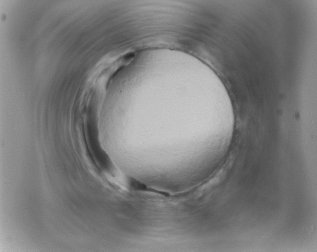 X0000071380193200607212221