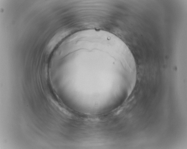 X0000071380194200607212221