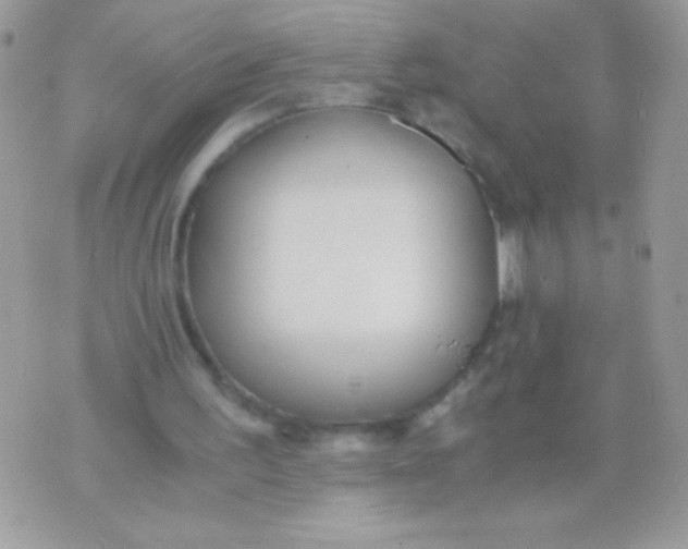 X0000071380195200607212221