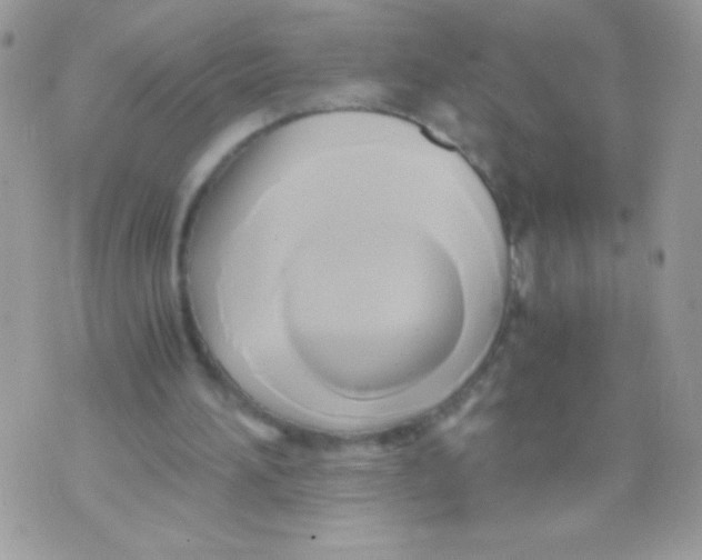 X0000071380196200607212221