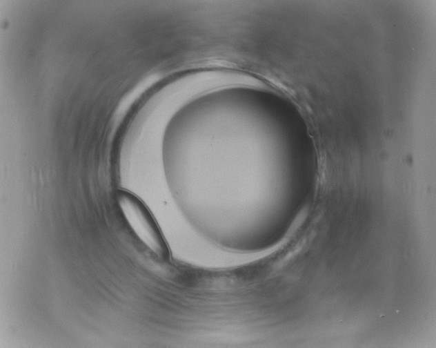 X0000071380200200607212221