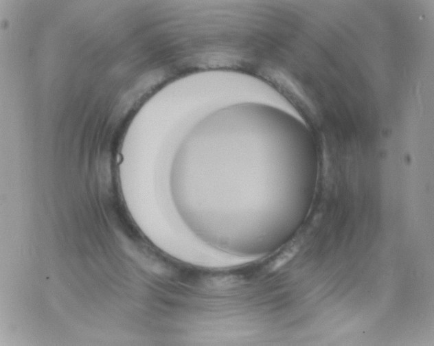 X0000071380202200607212221