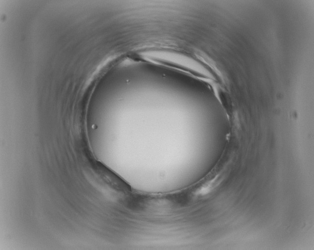 X0000071380203200607212221