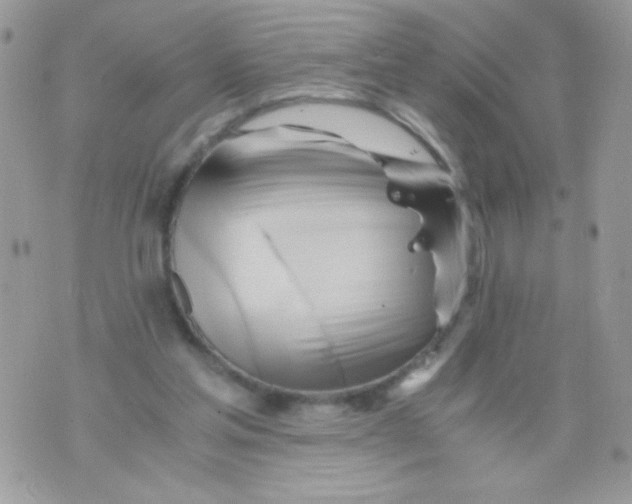 X0000071380205200607212221