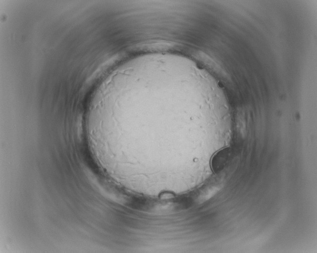 X0000071380206200607212221