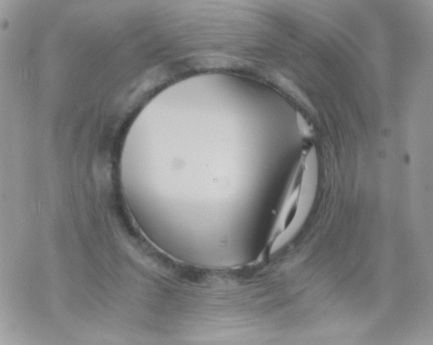 X0000071380207200607212221