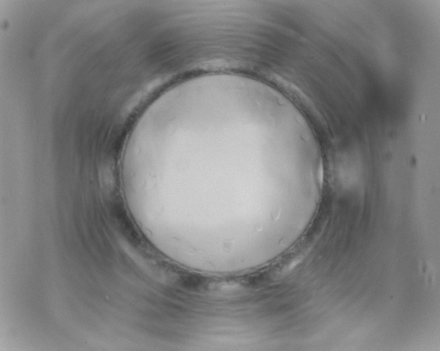 X0000071380208200607212221