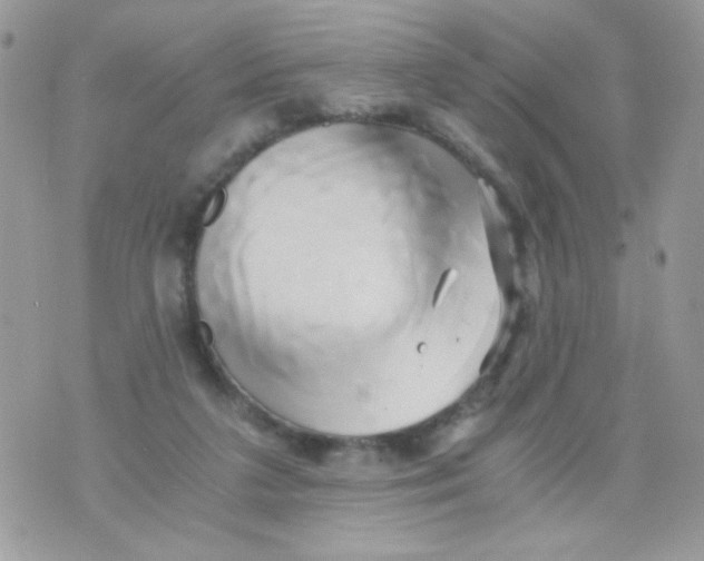 X0000071380211200607212221