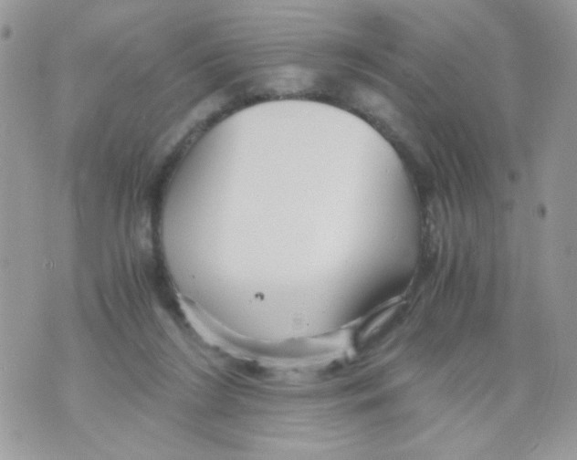 X0000071380212200607212221