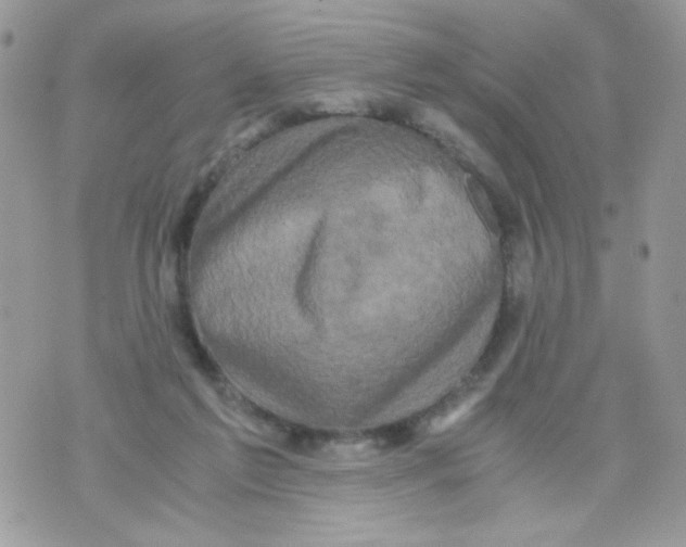 X0000071380213200607212221